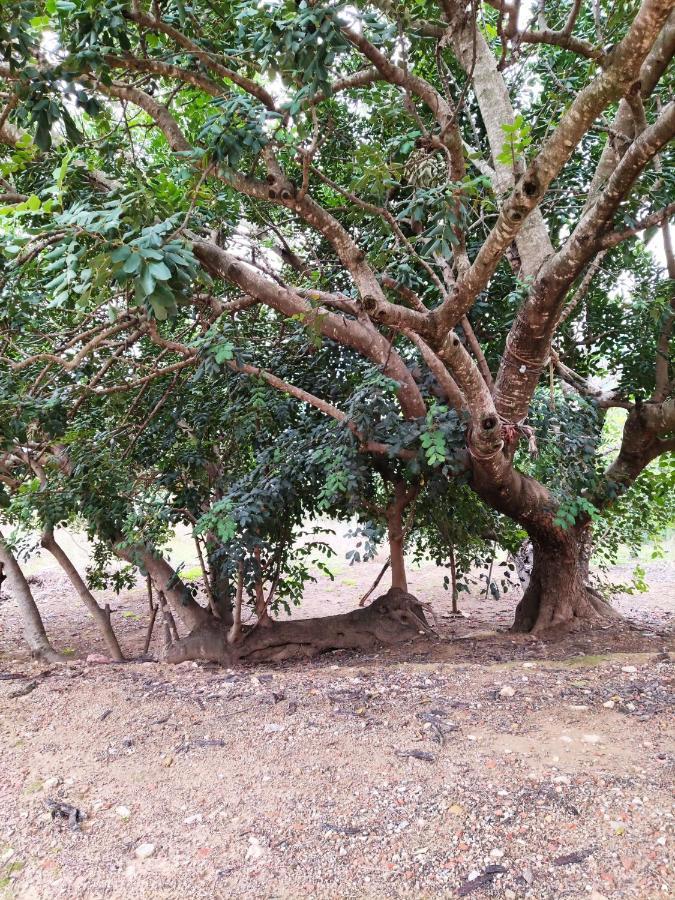 La Rueda Apartamentos Rurales Chulilla Eksteriør bilde